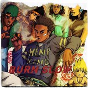 Burn slow cover image