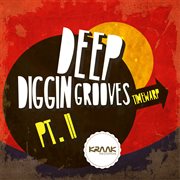 Deep diggin grooves, pt. ii cover image