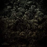 Cognitive bias, pt. 2: tachypsychia cover image