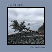 Bear beach cover image
