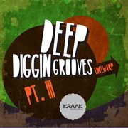 Deep diggin grooves, pt. iii cover image