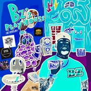 Bz'z playhouse cover image