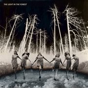 The light in the forest cover image