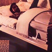 The jesus movement cover image