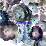 Slow bloom cover image