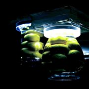 Hyperspace babies cover image