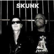 Skunk cover image