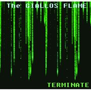 Terminate cover image