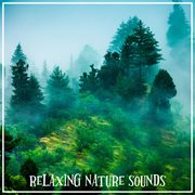 Relaxing nature sounds cover image