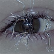 Mother of forty legs cover image