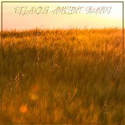Relaxing ambient sounds cover image