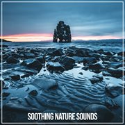 Soothing nature sounds cover image
