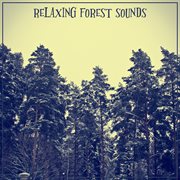 Relaxing forest sounds cover image