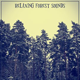 relaxing forest sounds mp3 download
