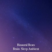 Brain sleep ambient cover image