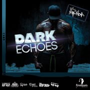 Dark echoes cover image