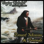 Singing waterfall & other gospel favorites cover image