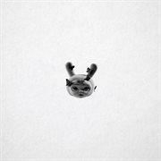 Loopy bastard cover image