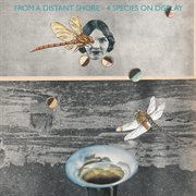 From a distant shore cover image
