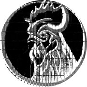 The rooster cover image