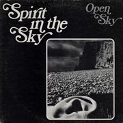 Spirit in the sky cover image