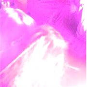 Universal foundation centering loose objectives cover image