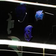 Tearing open your third eye cover image