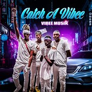 Catch a vibee cover image