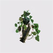 An angel in alliance with falsehood cover image