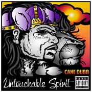 Untouchable spirit cover image