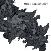 Mitochondrial sun cover image
