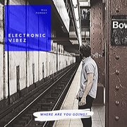 Electronic vibez (where are you going?) cover image