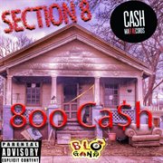 Section 8 cover image