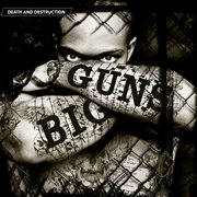 Big guns cover image