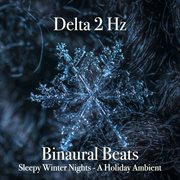Sleepy winter nights: a holiday ambient cover image