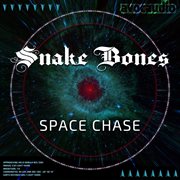 Space chase cover image