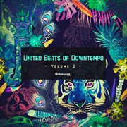 United beats of downtempo, vol. 2 cover image