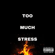 Too much stress cover image