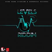 Levels up riddim cover image