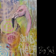 Send help cover image