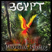 Phoenix rizing cover image