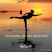 Seashore in the twilight cover image
