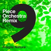 9-piece orchestra remix - fragile nature cover image
