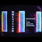 Sengoko + the saline dreams cover image