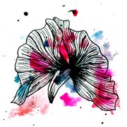 No matter how far you fall cover image