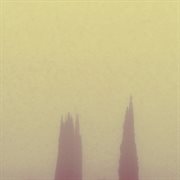 What manner of distortion are we cover image