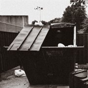 Dumpster dive cover image