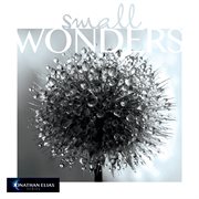 Small wonders cover image