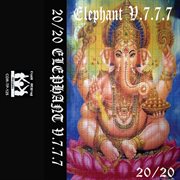 20/20 elephant v.7.7.7 cover image