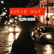 Slow burn cover image